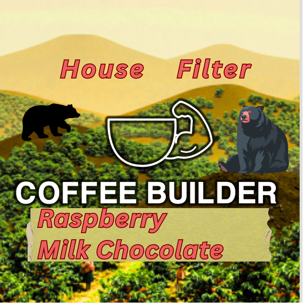 Andean bear friendly Coffee Farm | Colombia