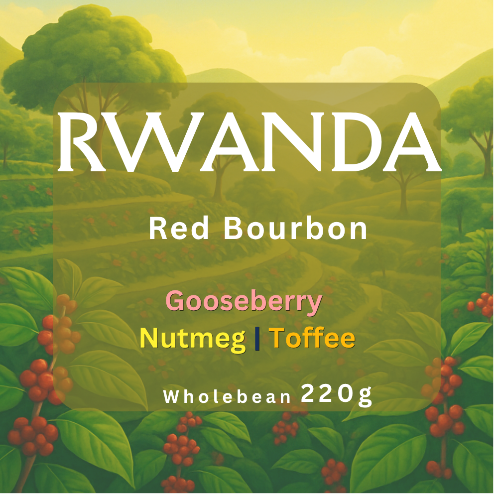 Rwanda | Fully Washed