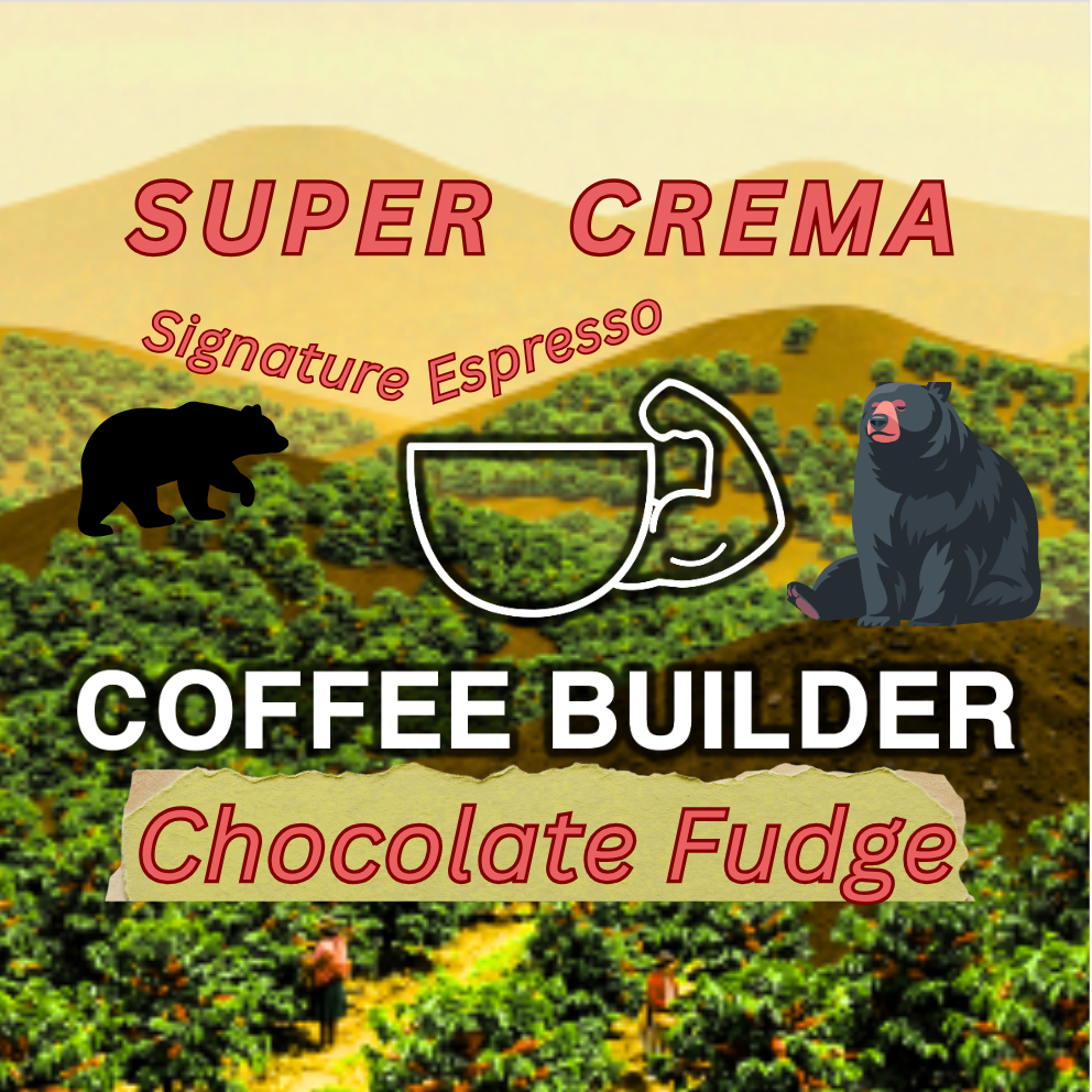 Andean bear friendly Coffee Farm | Colombia