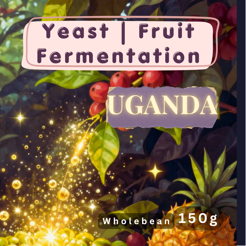 Uganda | Yeast Ferment