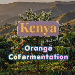 Kenya | Orange Coferment