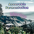 Mexico Anaerobic Fermentation