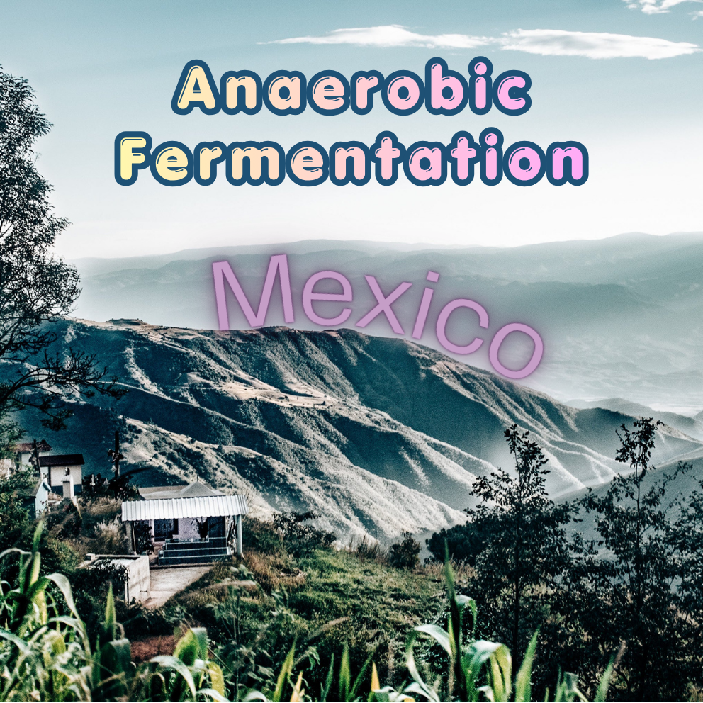 Mexico Anaerobic Fermentation