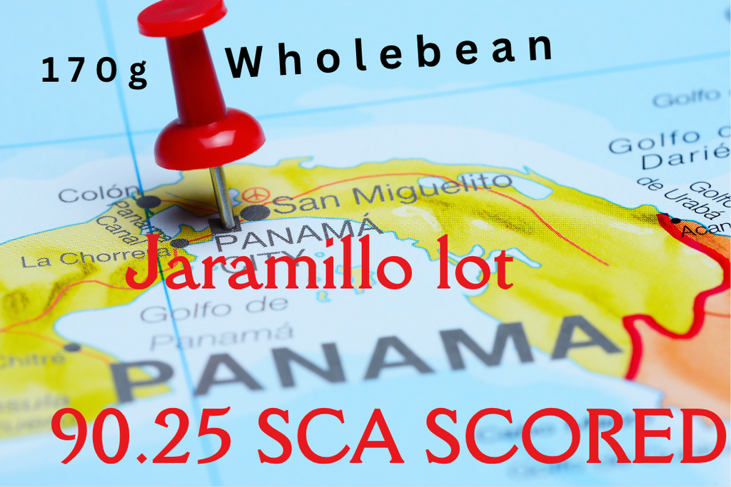 Panama | Caturra